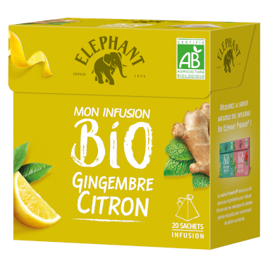 Infusion Bio Gingembre Citron